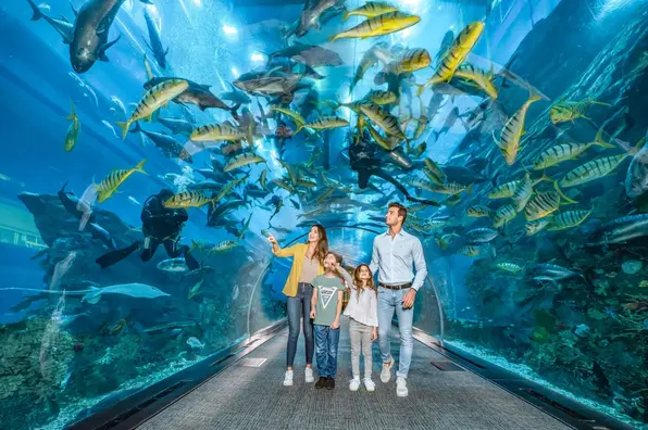 Dubai Aquarium and Underwater Zoo